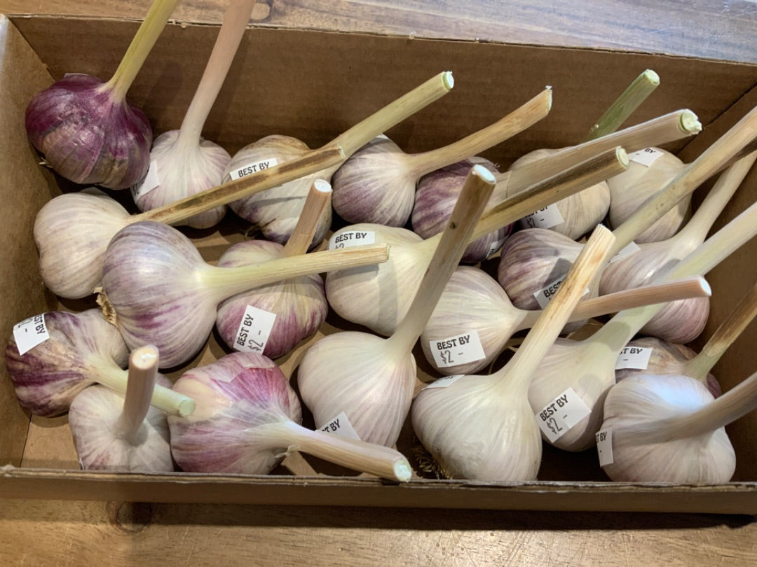 Farm One Forty - Garlic - Medium