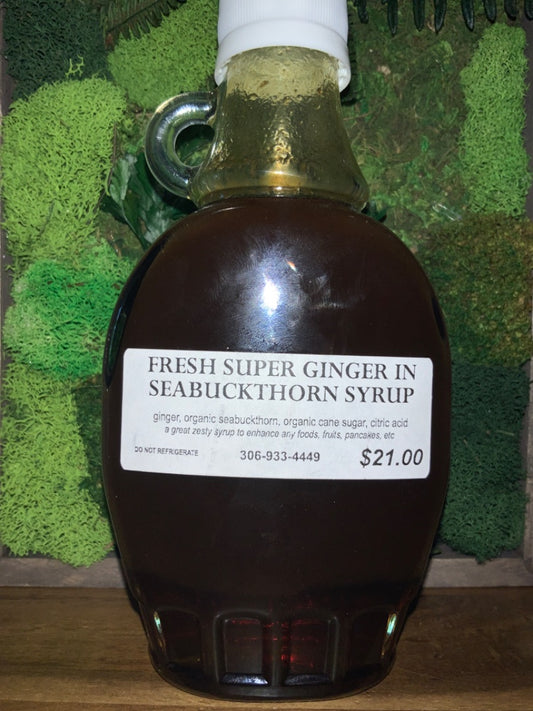 Ginger Guys - Ginger in Seabuckthorn Syrup