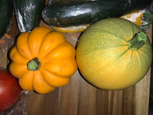 Cooks Country Farm - Small Squash