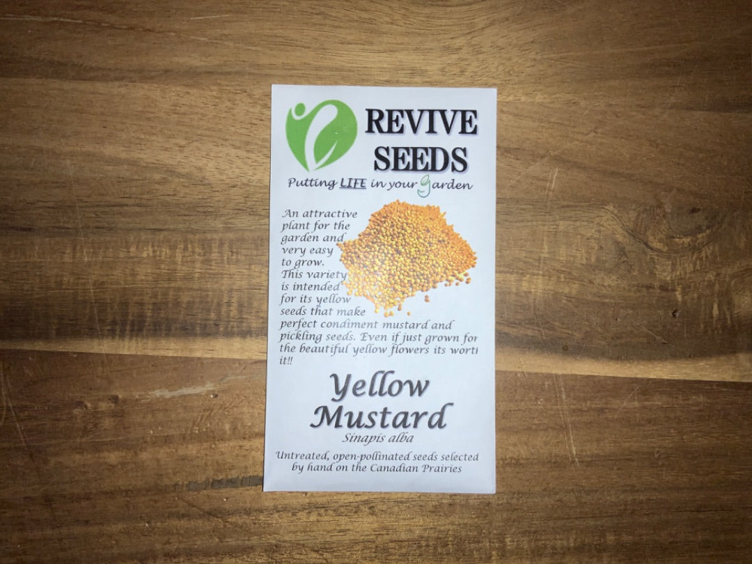 Revive Seeds - Yellow Mustard