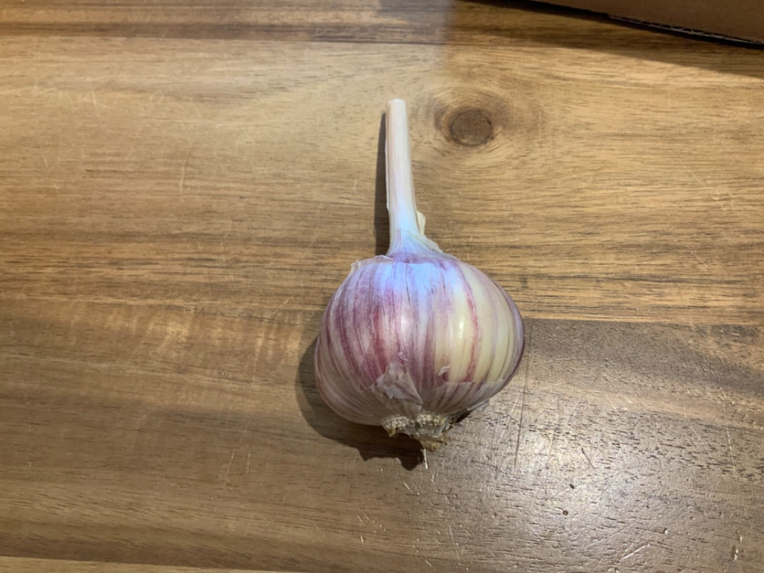 Farm One Forty - Garlic - Medium