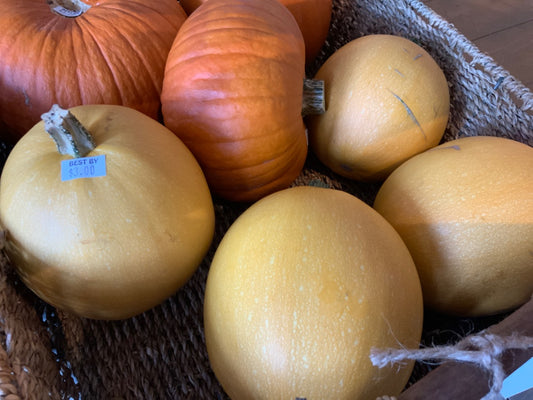 Cooks Country Farm - Squash