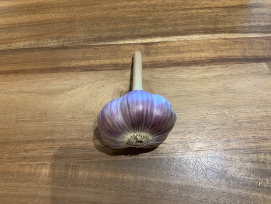 Farm One Forty - Garlic - Large