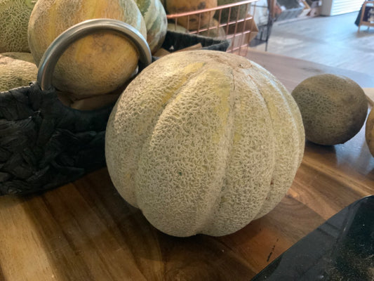 Lost River Timber - Large Melon ~3.5-4lbs