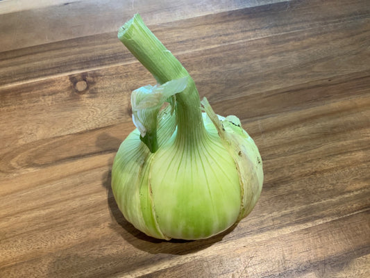 Cooks Country Farm - Single Onion